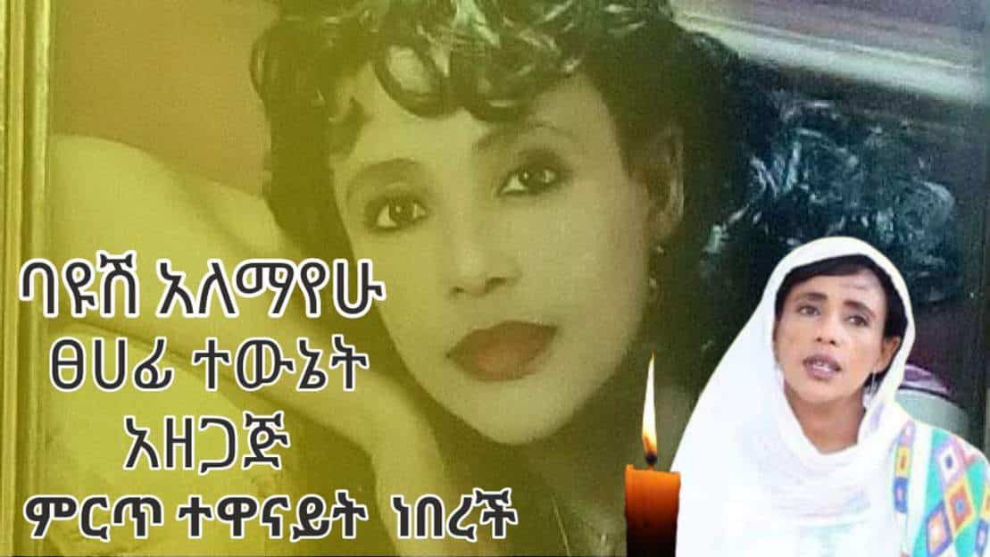 ትዝብት (ስለ እነ-ባዩሽ አለማየሁ) – ትዕግስት ገላዬ