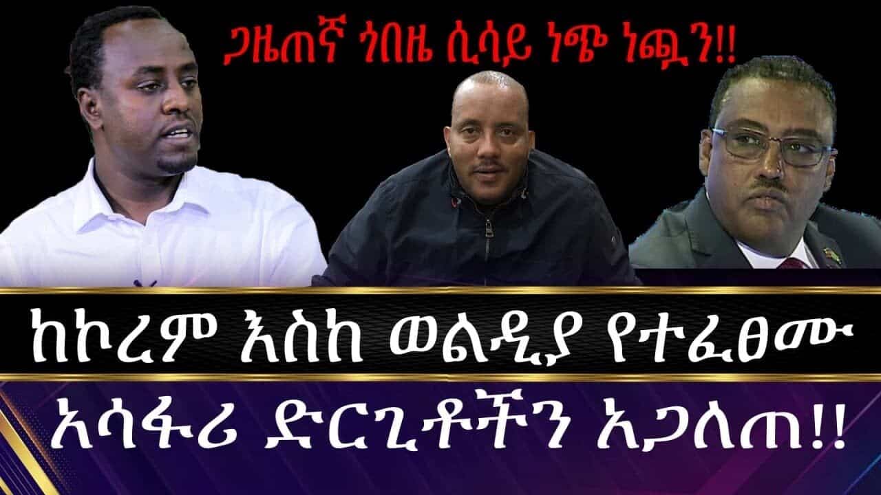 ጋዜጠኛ ጎበዜ ሲሳይ ነጭ ነጯን!! ከኮረም እስከ ወልዲያ የተፈፀሙ አሳፋሪ ድርጊቶችን አጋለጠ!!!! | endf | woldiya