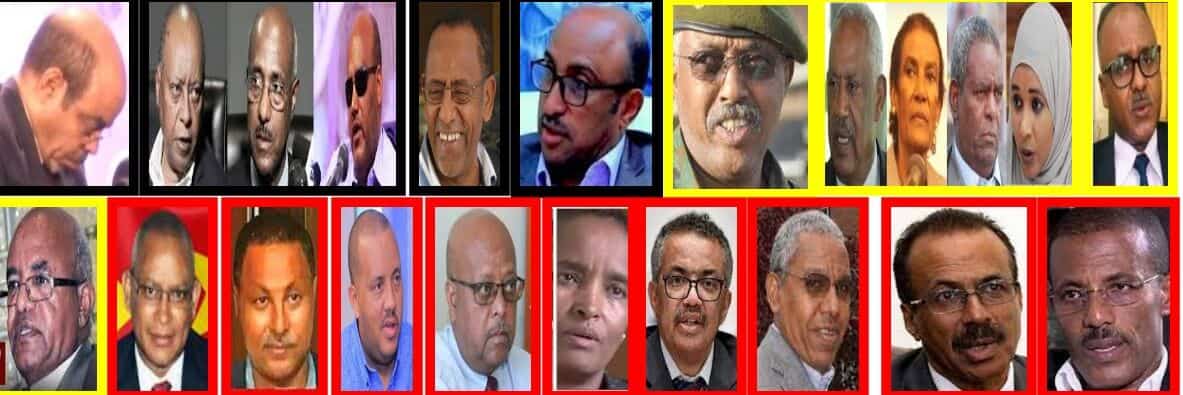 tplf people